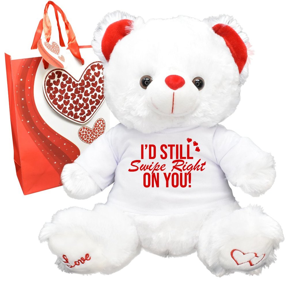 Still Swipe Valentines Teddy Bear Gift Bag Friend